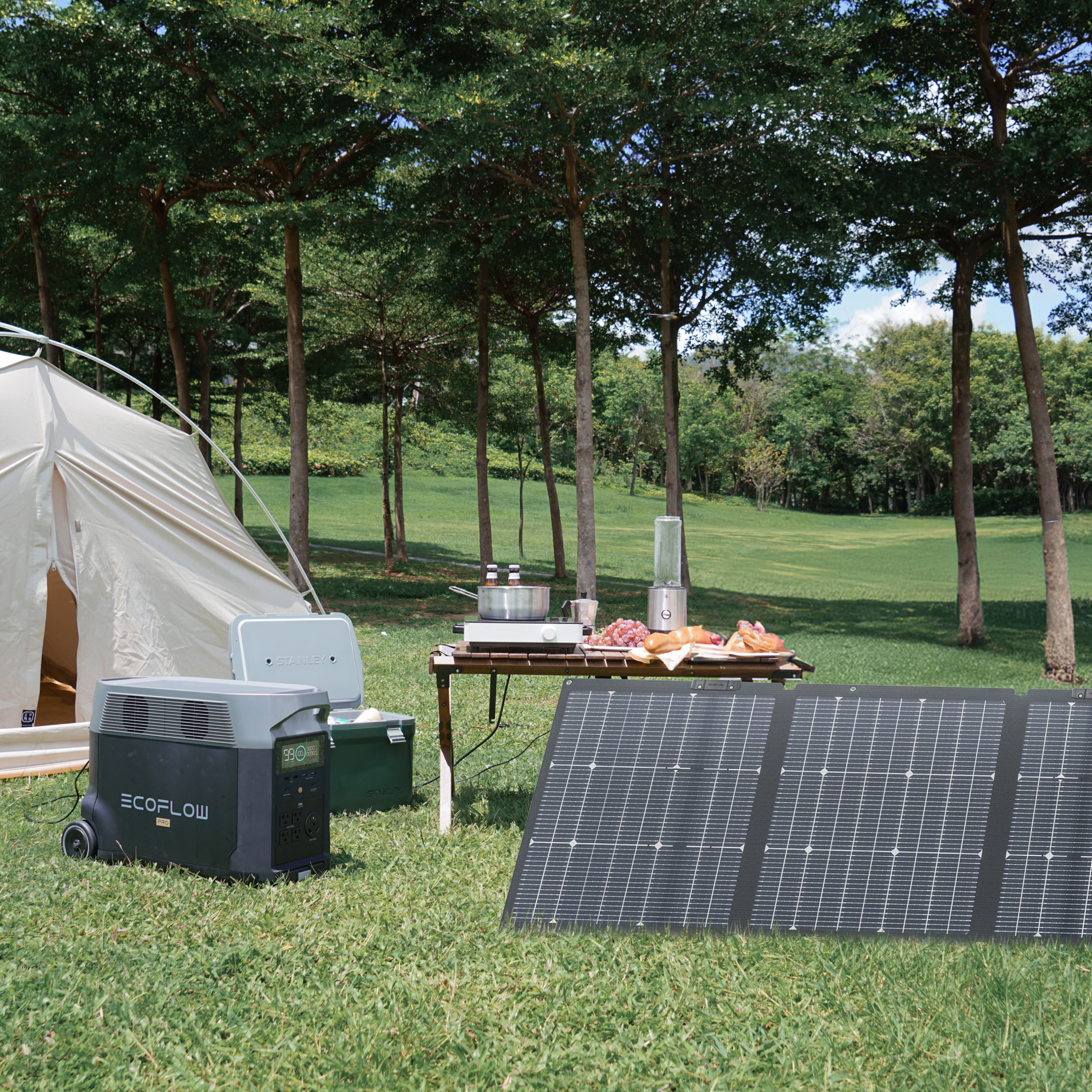 EcoFlow 220W Bifacial Portable Solar Panel